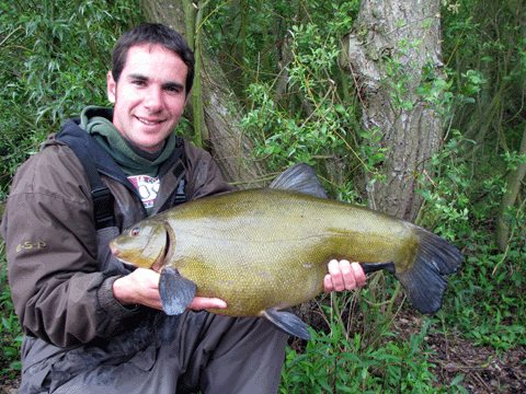 big big tench 059 1.gif